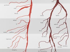 An Anatomical Exercise - detail 1